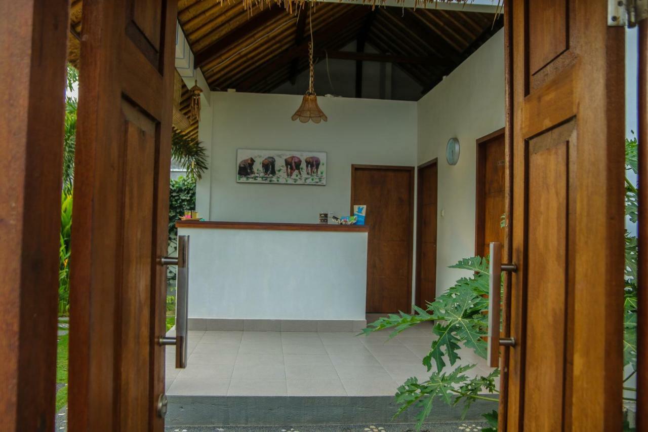 Cozy Lombok