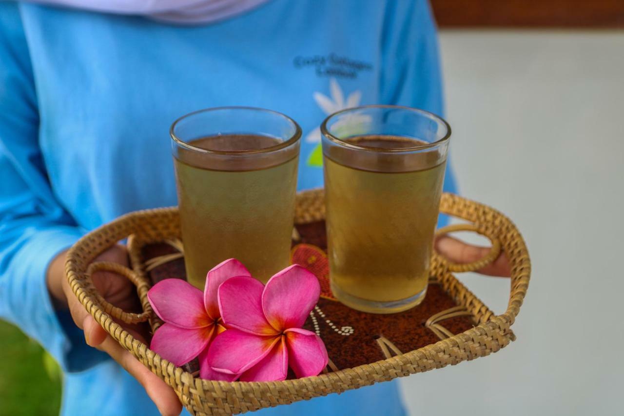 Resort Cozy Lombok